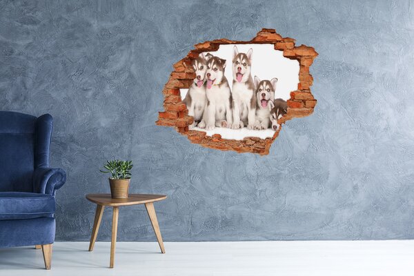 Autocolant gaură 3D Căței husky în spatele unei găuri în perete