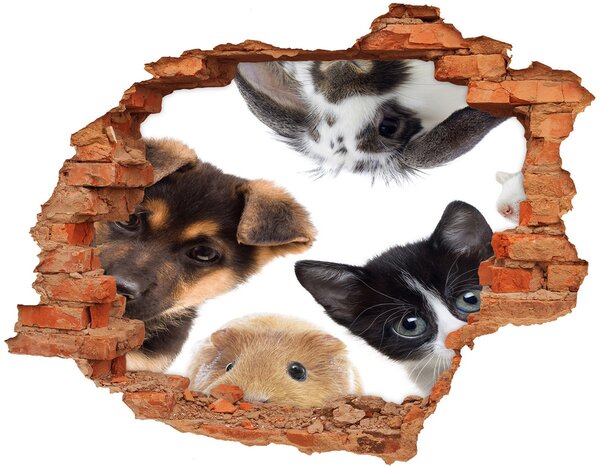 Fototapet 3D gaură în perete Animale de companie