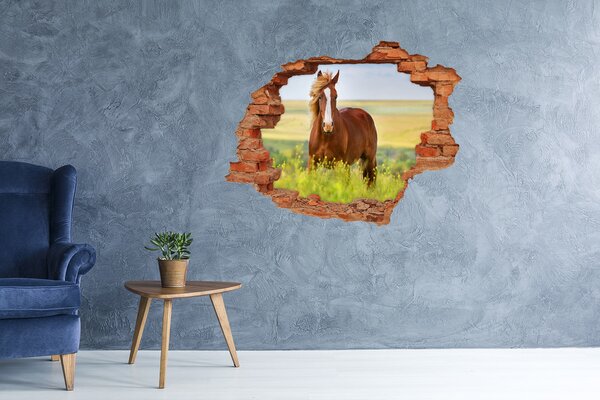 Fototapet 3D gaură în perete Un cal în pajiște