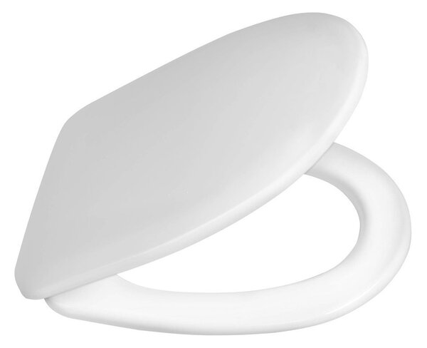 Aqualine Aqualine, scaun WC RIGA, balamale ABS, atașament superior, RG901
