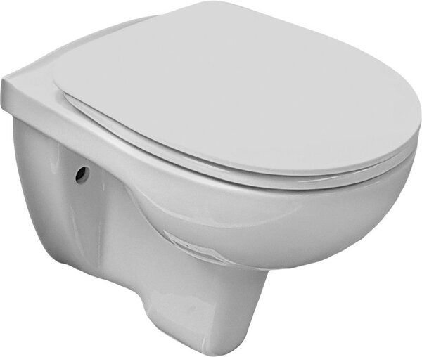 Aqualine Aqualine, scaun WC RIGA, balamale ABS, atașament superior, RG901