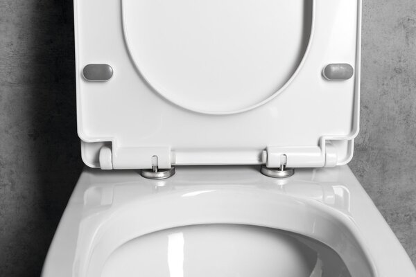 Aqualine Aqualine, scaun WC VERMET, Soft Close, alb, VRS008