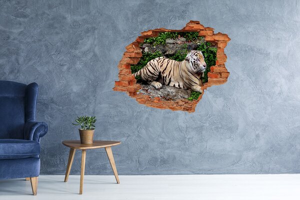 Fototapet 3D gaură în perete Tigru în habitatul său natural