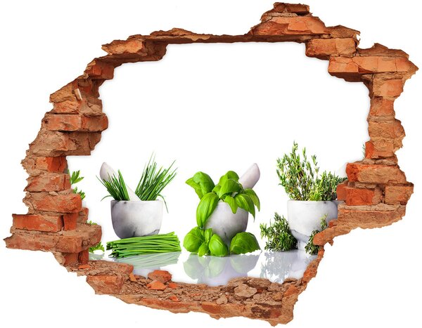 Fototapet un zid spart cu priveliște Grădină verde cu ierburi aromatice