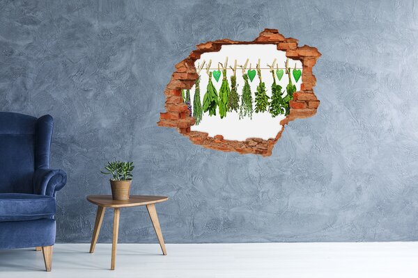Autocolant de perete gaură 3D Grădina de plante aromatice „Gauă în perete”