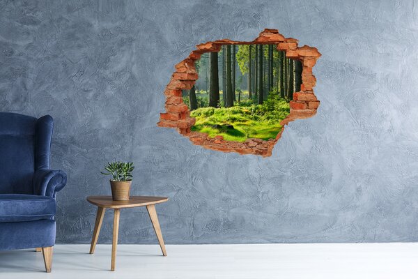 Fototapet 3D gaură în perete Pădurea verde în razele soarelui