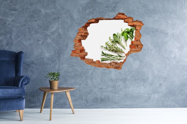 Autocolant de perete gaură 3D Grădină de plante aromatice din beton