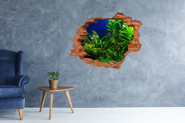 Fototapet 3D gaură în perete Lumea subacvatică din acvariu