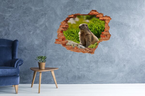 Autocolant gaură 3D Marmota în sălbăticie