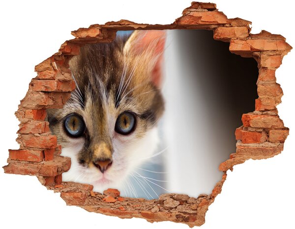 Fototapet un zid spart cu priveliște Sticker cu pisica mica