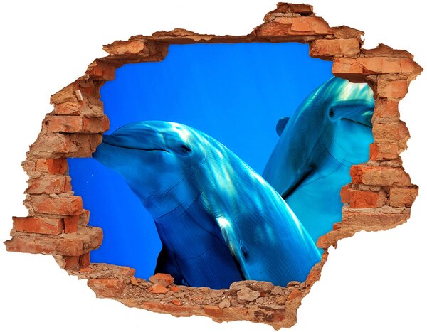 Autocolant un zid spart cu priveliște doi delfini