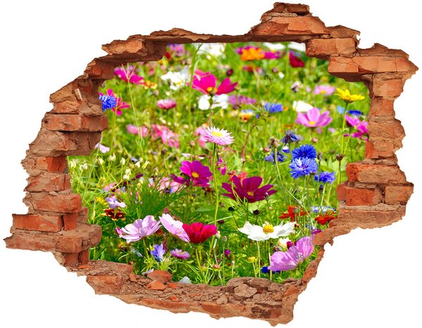Autocolant de perete gaură 3D flori de câmp