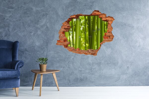 Fototapet 3D gaură în perete Crâng de bambus verde