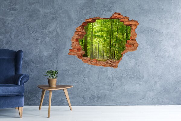 Fototapet 3D gaură în perete Pădurea verde în lumina soarelui