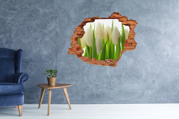 Autocolant gaură 3D Lalele în lumina zilei