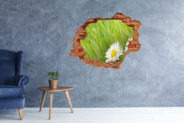 Fototapet 3D gaură în perete O floare într-o grădină verde