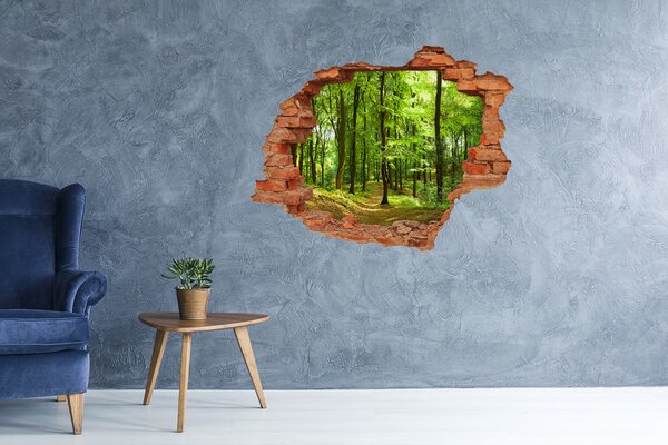 Fototapet 3D gaură în perete Pădurea verde în razele soarelui