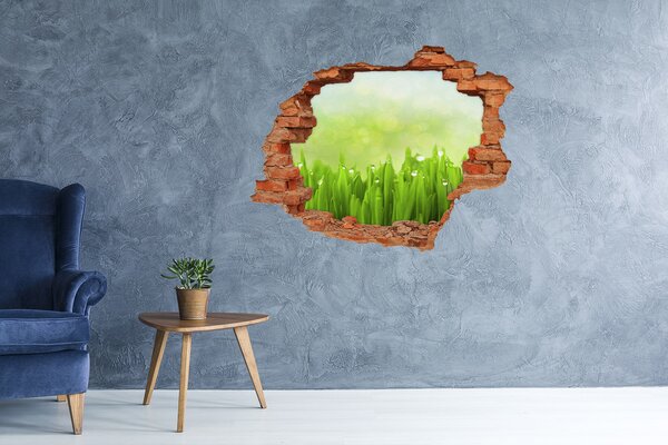 Autocolant gaură 3D Pajiște verde cu picături de apă