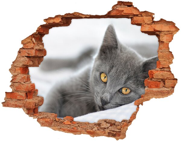 Autocolant de perete gaură 3D pisică gri