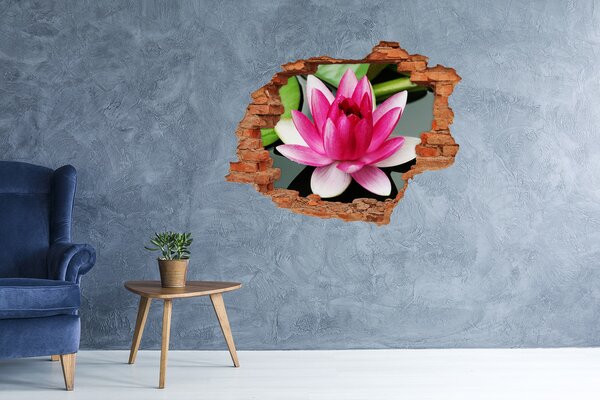 Fototapet 3D gaură în perete Floare de lotus într-o gaură din perete