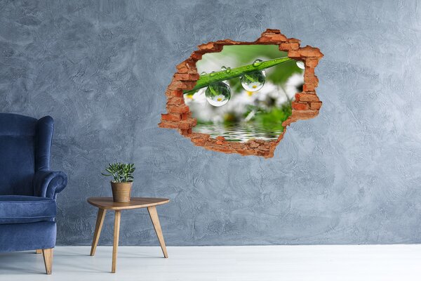Autocolant un zid spart cu priveliște Oază florală cu picături de apă
