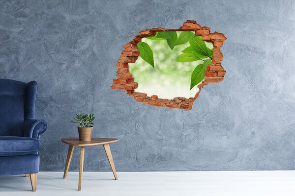 Fototapet 3D gaură în perete O oază verde în beton