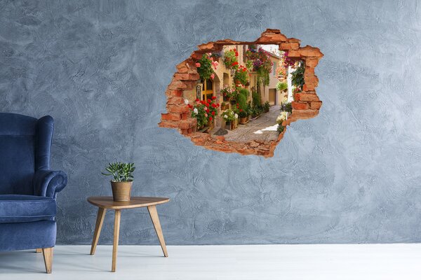 Fototapet 3D gaură în perete O stradă fermecătoare cu flori