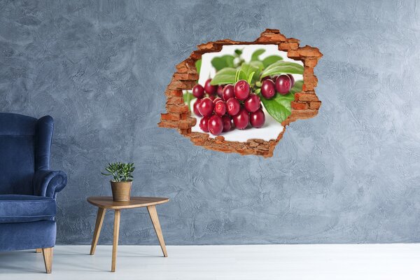 Fototapet 3D gaură în perete Gaură fructată în perete