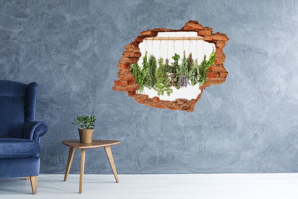 Autocolant 3D gaura cu priveliște Grădina de plante aromatice „Gauă în perete”
