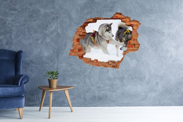 Autocolant un zid spart cu priveliște Husky siberian în acțiune