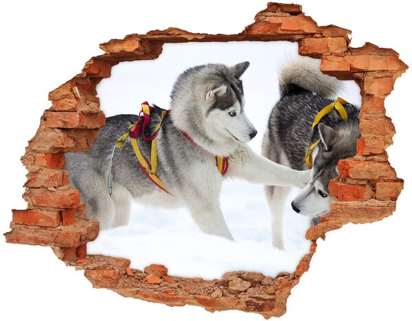 Autocolant un zid spart cu priveliște iarna Husky
