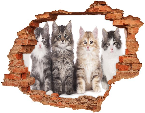 Autocolant gaură 3D șase pisici