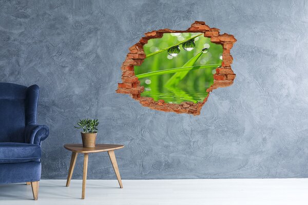 Autocolant de perete gaură 3D Oază verde cu picături de apă