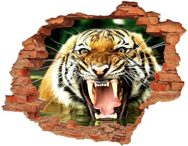 Fototapet un zid spart cu priveliște hohotitor tigru