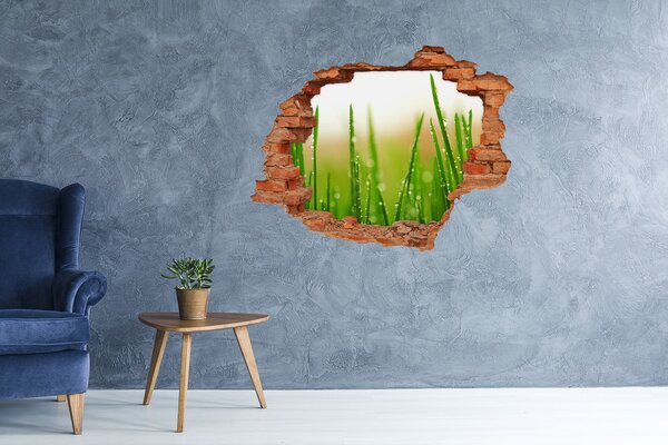 Fototapet 3D gaură în perete Pajiște verde cu picături de apă