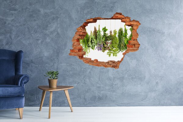 Autocolant un zid spart cu priveliște Grădină de plante aromatice verzi