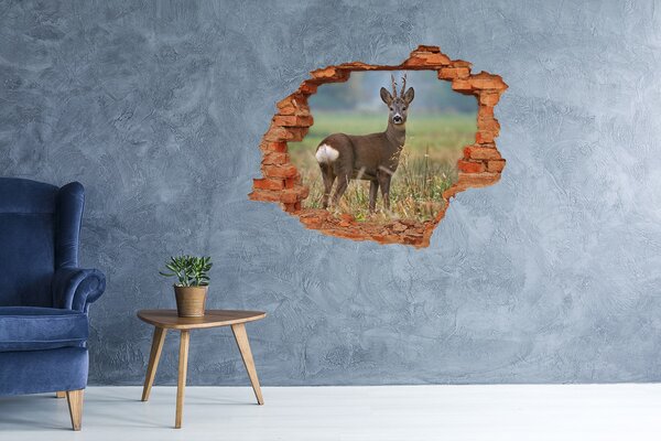 Fototapet 3D gaură în perete Căprioare în habitatul său natural