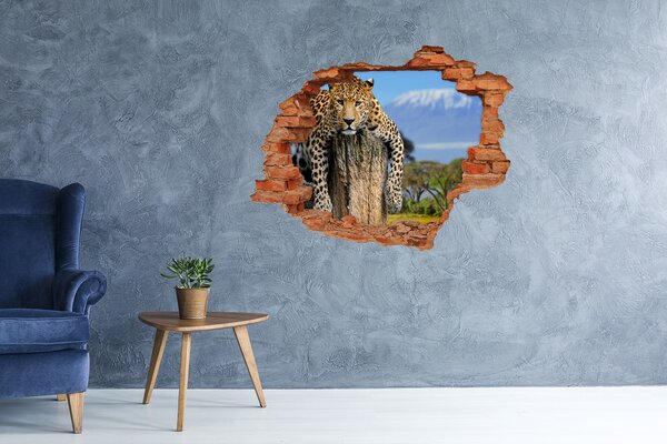 Fototapet 3D gaură în perete Privirea lipicioasă a unui leopard