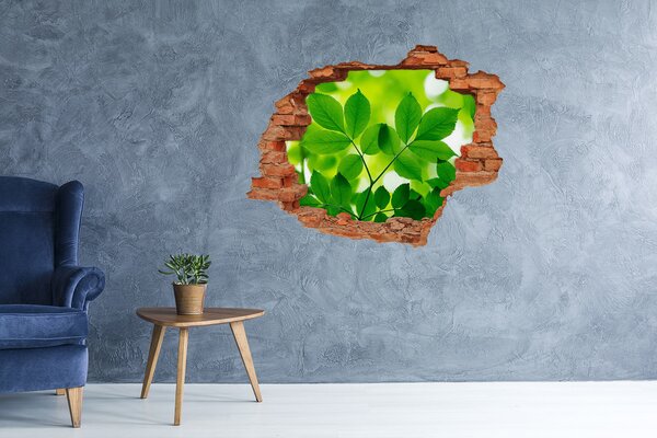 Fototapet 3D gaură în perete O oază verde în beton