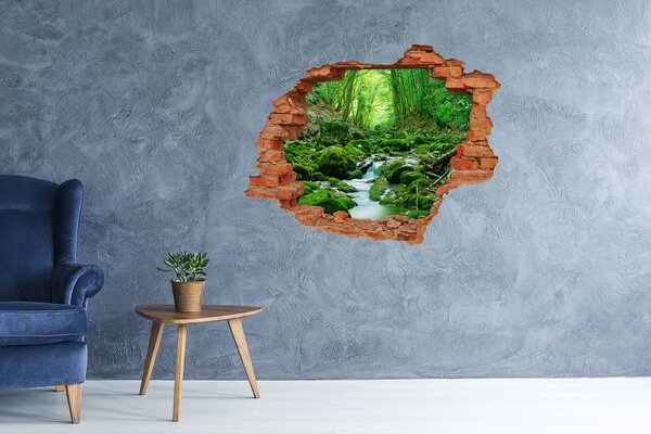 Fototapet 3D gaură în perete Pârâu verde în pădure