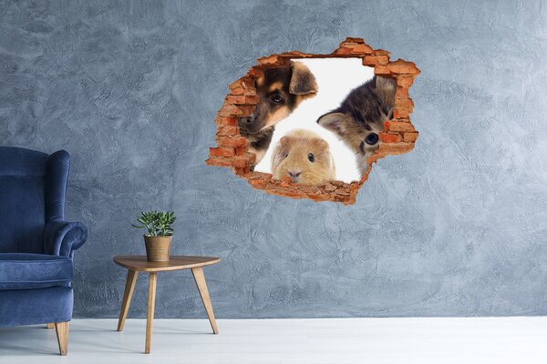 Fototapet 3D gaură în perete Animale de dincolo de zid