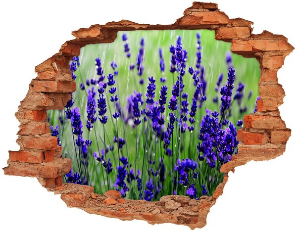 Fototapet un zid spart cu priveliște Pajiște cu flori de lavandă