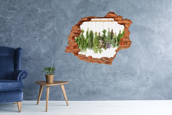 Autocolant un zid spart cu priveliște Grădină de plante aromatice în zid