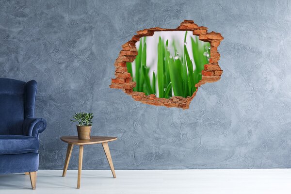 Fototapet 3D gaură în perete Pajiște verde cu picături de apă