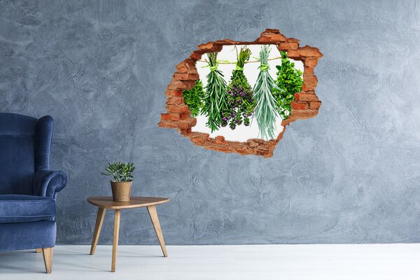 Autocolant autoadeziv gaură Grădina de plante aromatice „Gauă în perete”