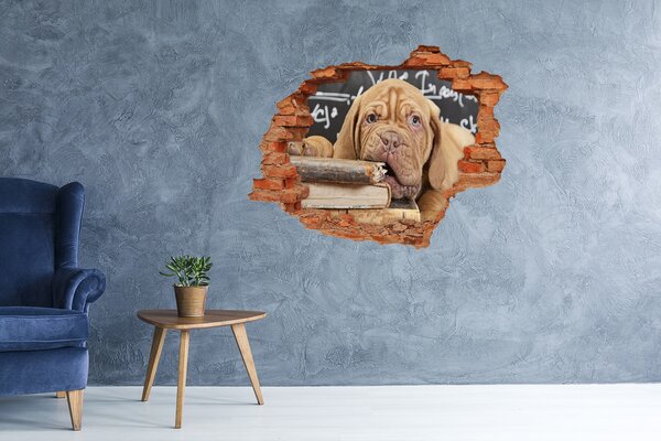 Fototapet 3D gaură în perete Un cățeluș dulce printre cărți