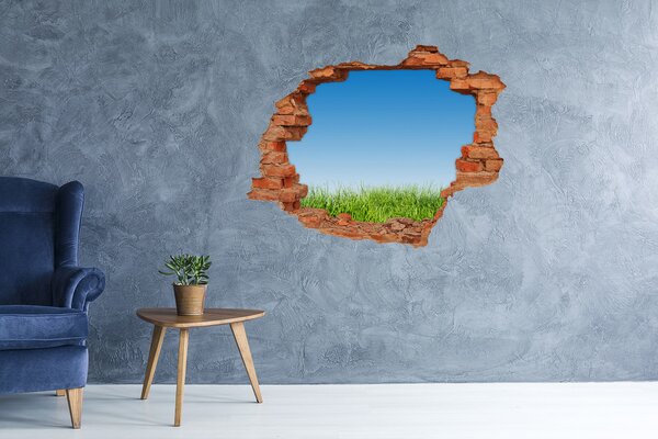 Fototapet 3D gaură în perete Pajiște verde sub un cer albastru