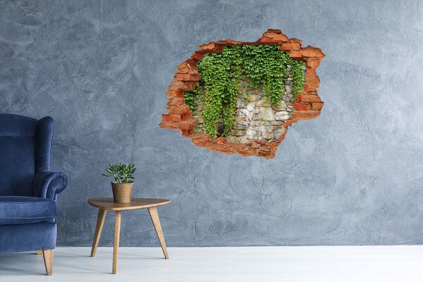 Fototapet 3D gaură în perete Zid verde cu pietre