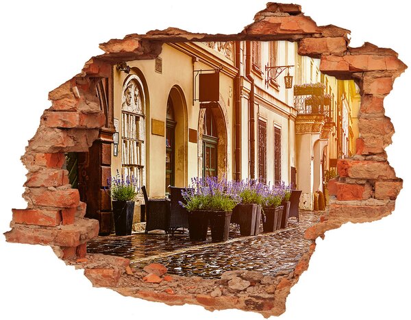 Fototapet un zid spart cu priveliște Cracovia, Polonia
