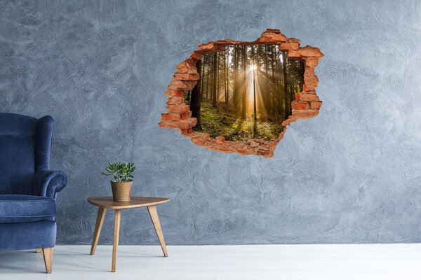 Autocolant gaură 3D Oază de lumină în pădure